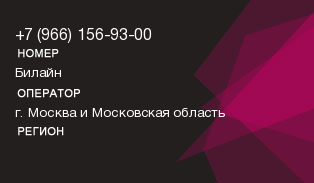 9661569300